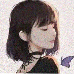 八戒铁粉